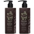 Plaukų priežiūros priemonių rinkinys Saphira Volume Boost Shampoo & Conditioner SAFBMTS2MTC2, 2x250 ml Online now